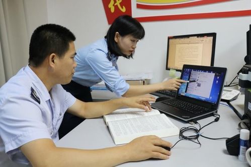 洋浦稅企交流群 社會經濟咨詢服務的便捷橋梁